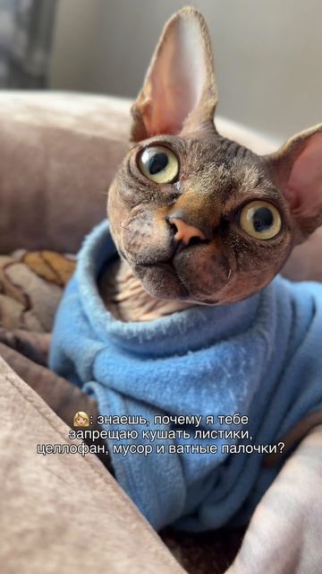 Вообще-то это забота 😁