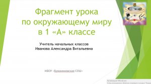 Видеоролик учебного занятия
