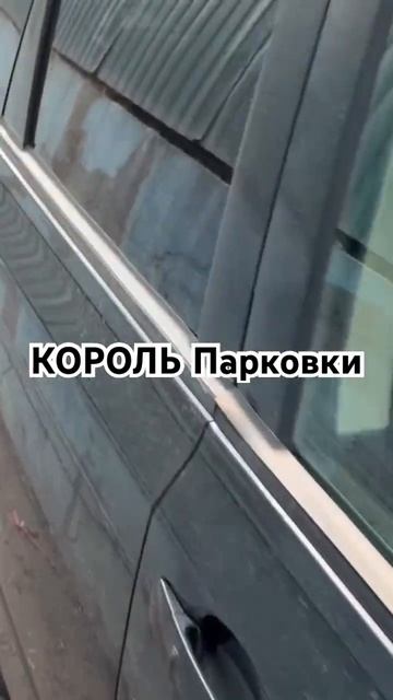 ВОДЯТЕЛ ГОДА