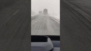 РВФ '26 Иннополис + Волжская Булгария