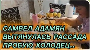 САМВЕЛ АДАМЯН,СЫТНИКИ, ВЫТЯНУЛАСЬ РАССАДА, ПРОБУЮ ХОЛОДЕЦ..