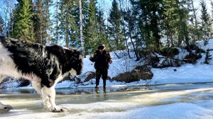 Звериной тропой на таежную речку. Рыбалка в дебрях тайги.