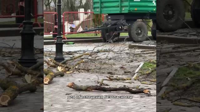 🌳  Сохранение природного наследия