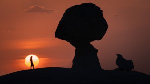 [Анонс] Египет без «всё включено». Самые красивые места от Каира до Сахары под другим углом
