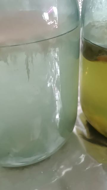 Халявщики всё топят