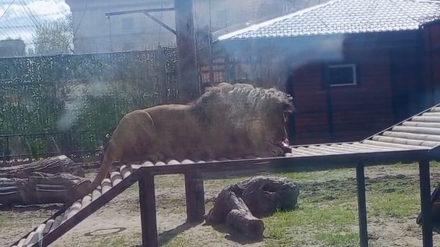 OFHF5584 Видео от Ивана 14.04.2026