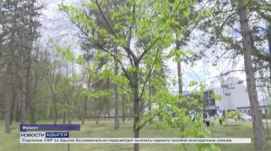 Информационный выпуск Майкопского телевидения 14.04.26