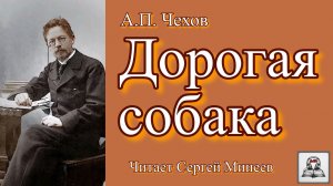 Аудиокнига: А.П. Чехов «Дорогая собака» слушать онлайн бесплатно