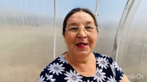 Соседские распри Как мы помогаем друг другу