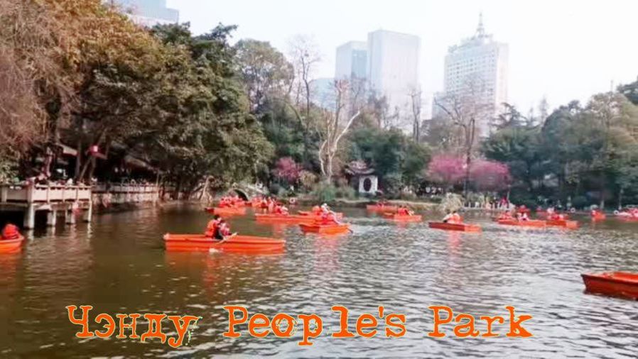 Длинная пересадка в Китае, в городе Чэнду, посетили People's Park.