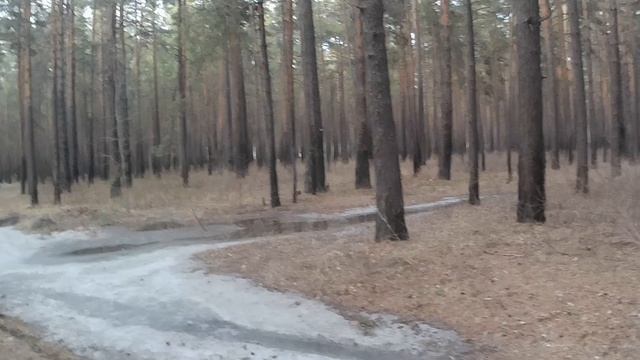 Упал на СОВЕ 200 в лесу😉