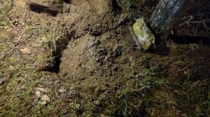 ПУСЁНОК УШЕЛ В ВЕЧНОСТЬ