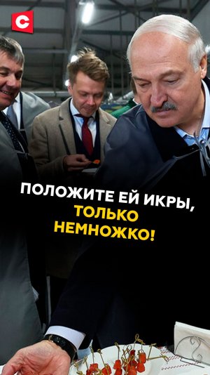 Лукашенко: журналисты должны это попробовать! #беларусь #лукашенко #батька #новости #политика