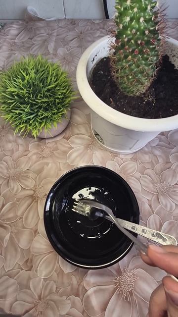 Морщины? Несегодня!