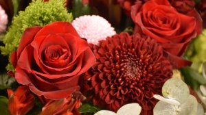 Он Душу воскресил мою!