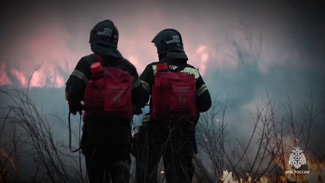 Пожарные защитили малочисленный населенный пункт от ландшафтного возгорания в Амурском районе