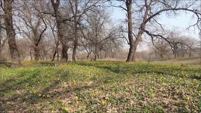 7 Тайных ритуалов утра о которых молчат.