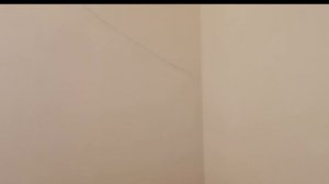 14-04-2026 Ремонт гардеробной, начало.