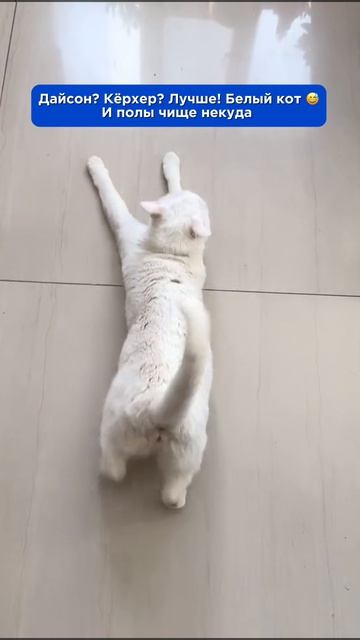 Протру здесь тоже  