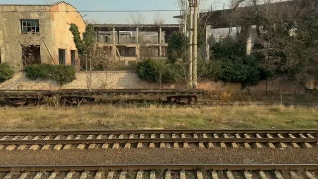 «ДАР ЦЫГАНКИ В ТЮРЬМЕ». Интересная история.