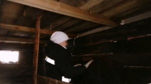 сельские будни