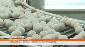 Мордовские несушки увеличили производство