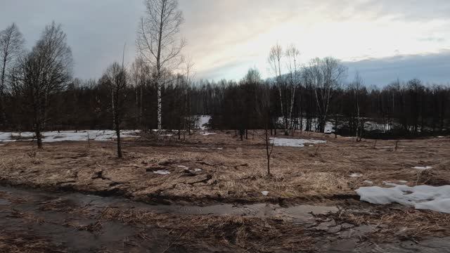 Первый вальдшнеп этого сезона