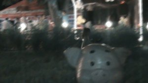 15)В ГОРОДЕ ЦЕНТРАЛЬНЫЙ ПАРК(2012 ГОД)