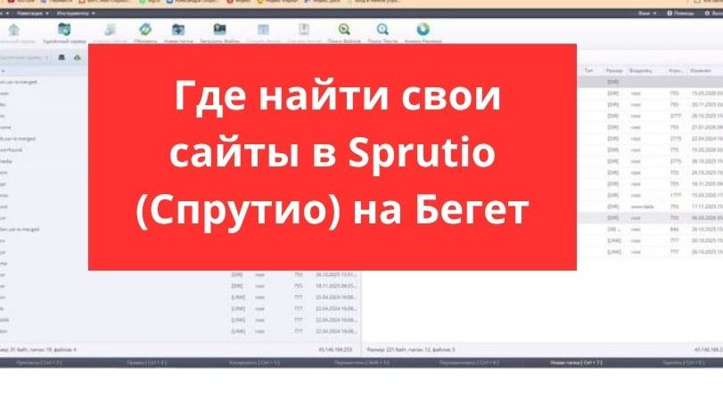 Где и как найти свои сайты в файловом менеджере Sprutio (Спрутио) на Бегет