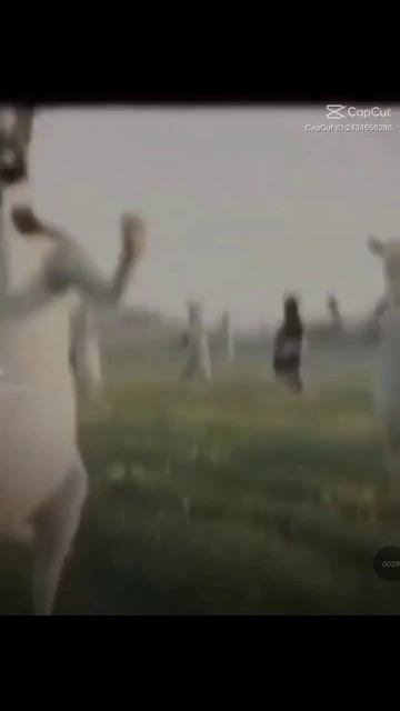 пупси  гёрлс