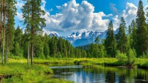 Россия ты родина наша