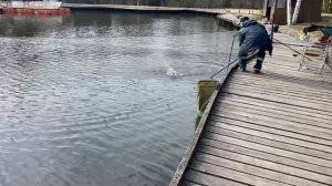 Основной водоём.Поимка Форели