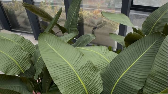 Геленджик 2