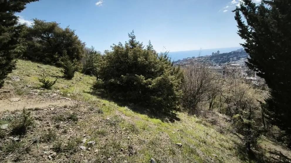 В продаже земельный участок в Ялте, ЮБШ