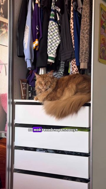 Что думаете?😂❤️