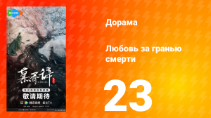 Любовь за гранью смерти 23 серия
