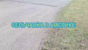 Сельчанка в Америке / Преображаю террасу Мои лучшие покупки для дома и сада