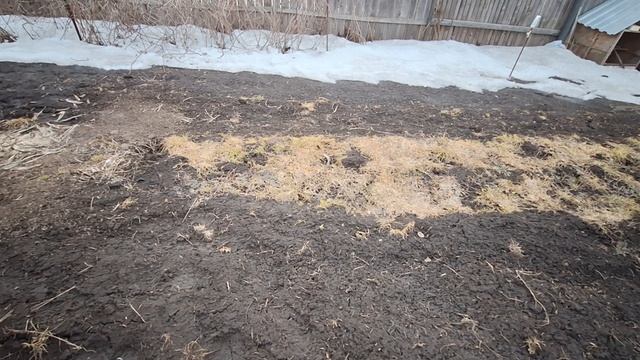 Прошлась по огороду, заглянула в теплицы.