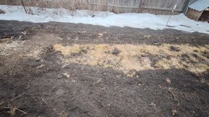 Прошлась по огороду, заглянула в теплицы.