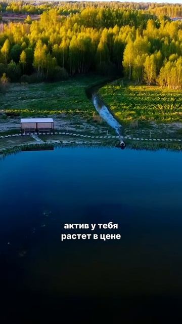 Друзья подписывайтесь🤝 Тут много полезного про деньги, инвестиции и недвижимость✌️