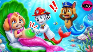 Щенячий патруль и Маршалл. Залипательное видео. Мультфильм для детей и малышей. Анимация 402