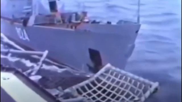 День когда столкнулись не корабли  характеры - Беззаветный и СКР 6