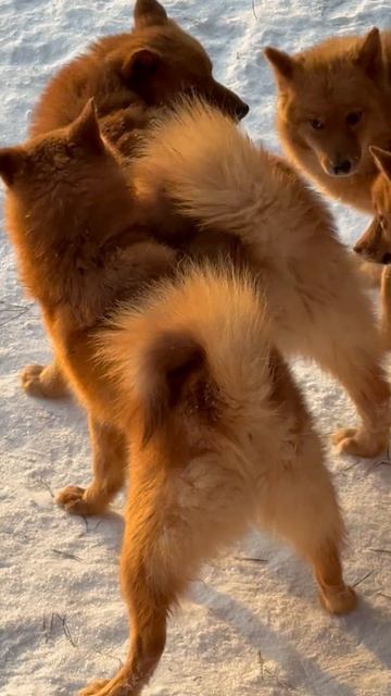 Исчезло за СЕКУНДУ! Gone in a SECOND!