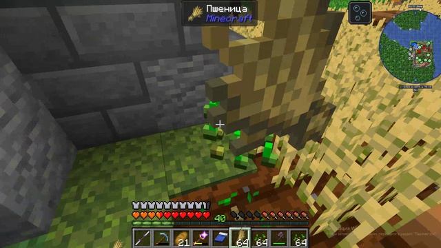 часть-2: Minecolonies Dragon Epoch