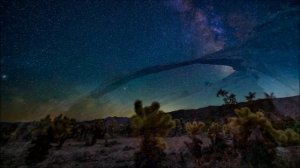 Йога без магии как она реально помогает телу и уму