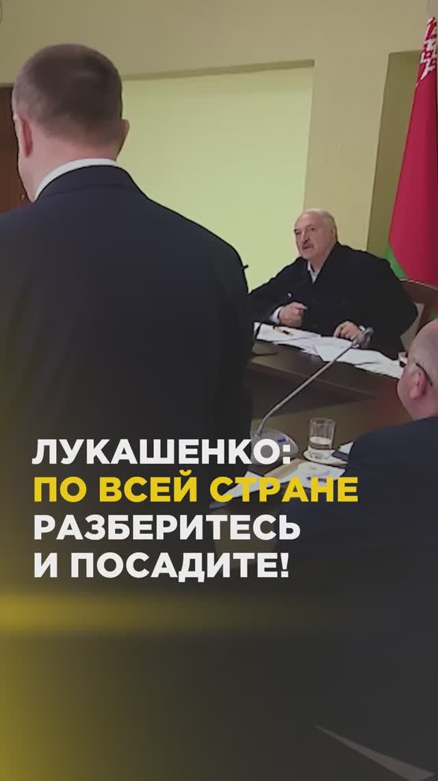 Лукашенко: по всей стране разберитесь и посадите