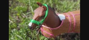 По ту сторону седла // 1 серия//🏇