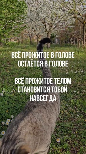 То, что ты просто поняла — завтра забудешь.