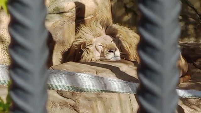 QLXE4859 Видео от Ивана 14.04.2026