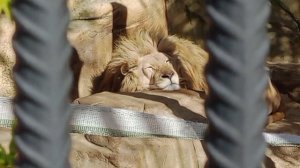 QLXE4859 Видео от Ивана 14.04.2026